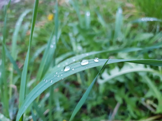 D606D2E8-01B7-4542-8724-6080E7ED2D15.jpeg