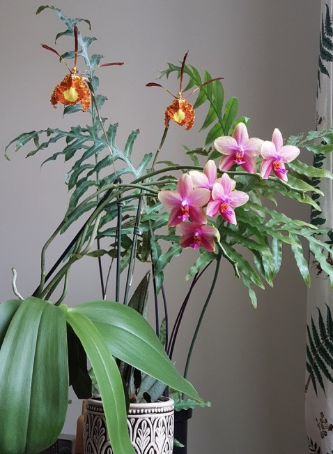 20190505_150632.jpg