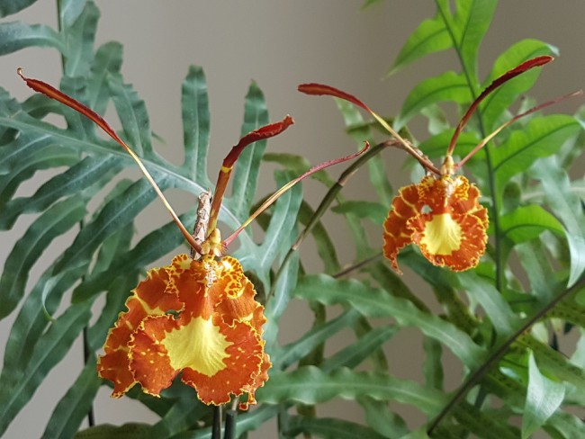 20190505_143825.bjQ9x.jpg