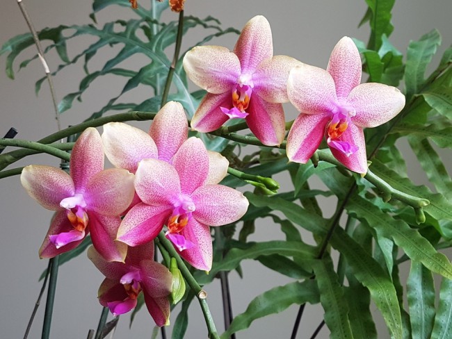 20190505_143753.KzBjJ.jpg