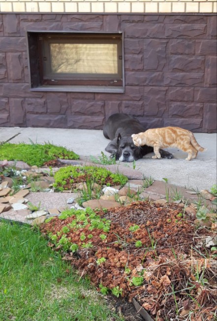 20190509_210527.jpg