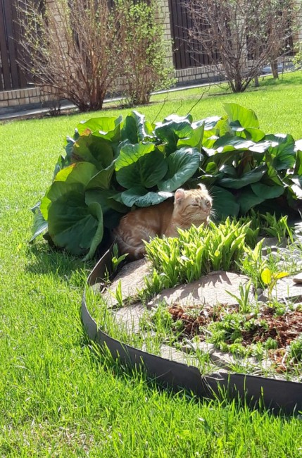 20190509_210614.jpg