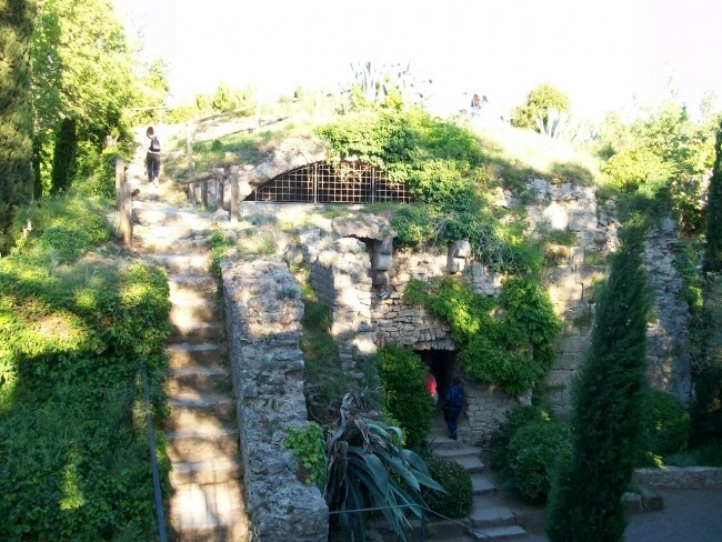 101_8466.JPG