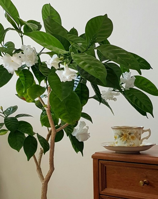 Studio_20190519_165158.jpg
