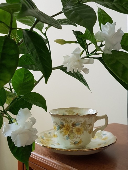 20190513_162908.rD9Na.jpg
