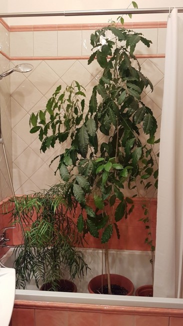 20190520_101430.jpg