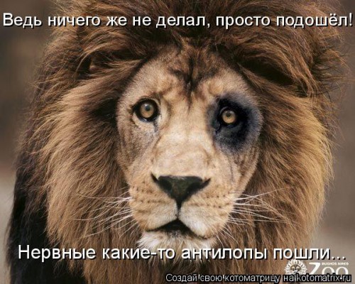 лев2.jpg