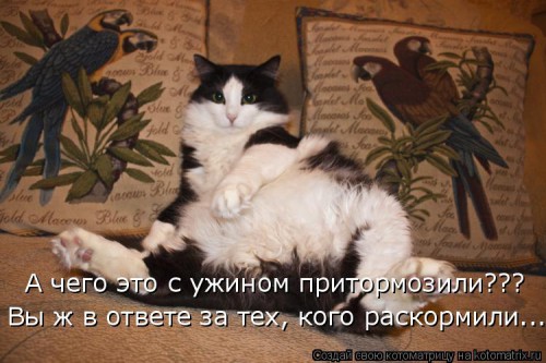 приручили.jpg