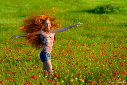 среди маков.jpg