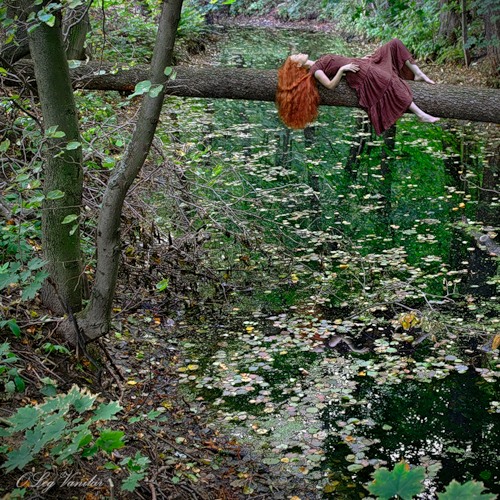 лесная фея.jpg