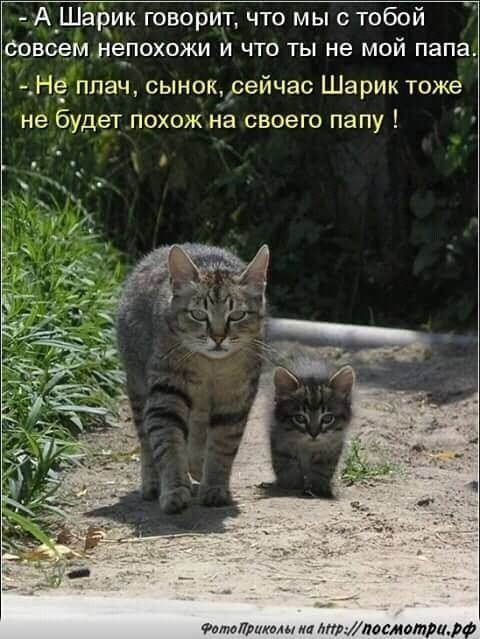 папа и сын.jpg