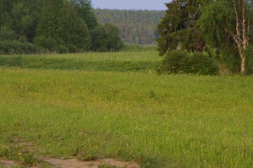 _05G6066.jpg