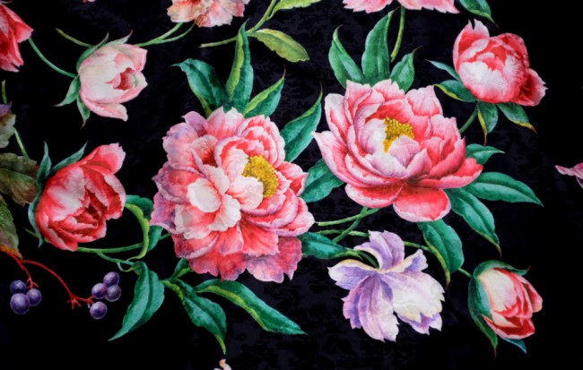 DSCF5156.JPG