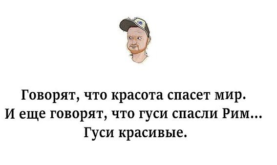 гуси.jpeg
