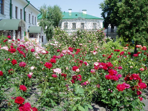P1010117.JPG