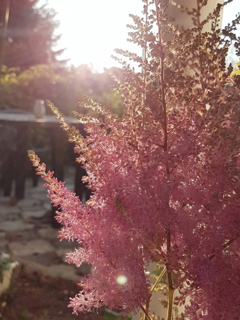 20190721_213241.pNphn.jpg