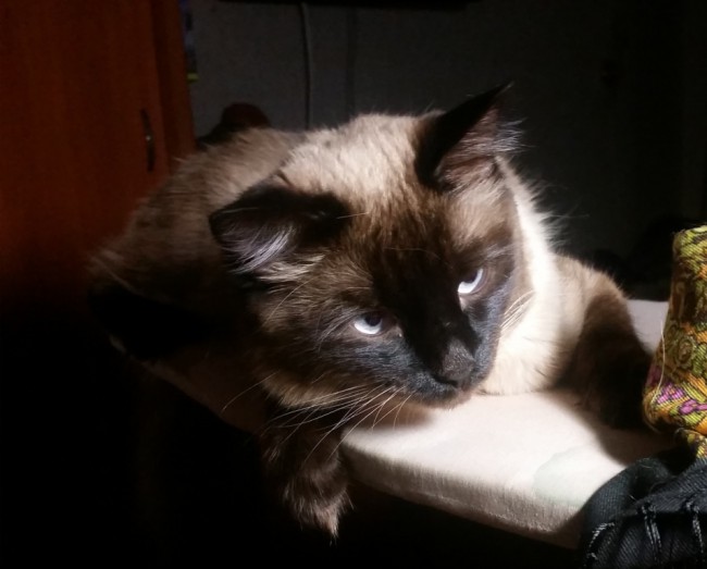 20190720_225501.jpg