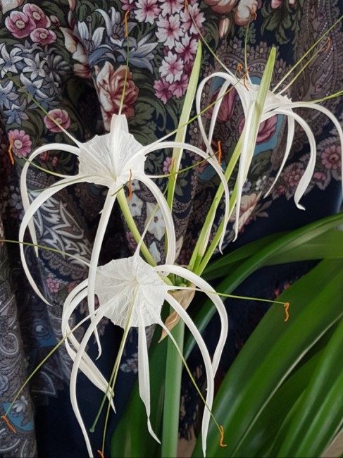 20190906_160533.jpg