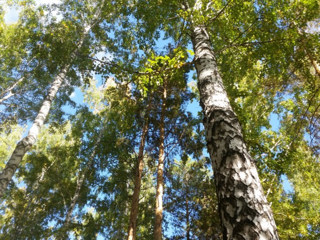 20190911_154548.jpg