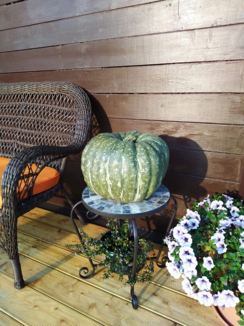 IMG-20190912-WA0002.jpg