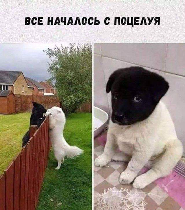 FB_IMG_1568656403946.jpg