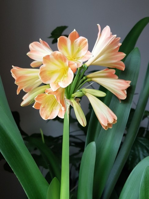 20191006_151849.jpg
