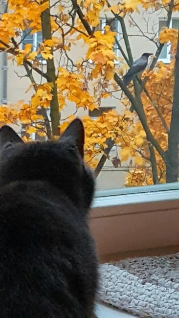 20191008_141256.RQJiH.jpg