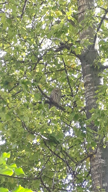 IMG-20191008-WA0021.jpg