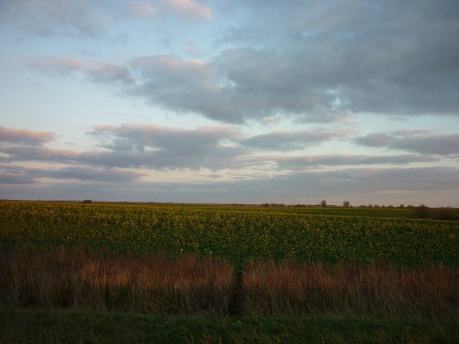 P1300775+.jpg