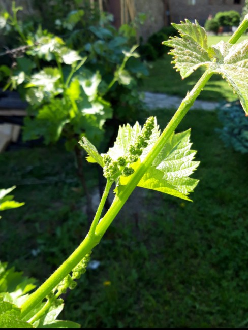 20191101_130559.jpg