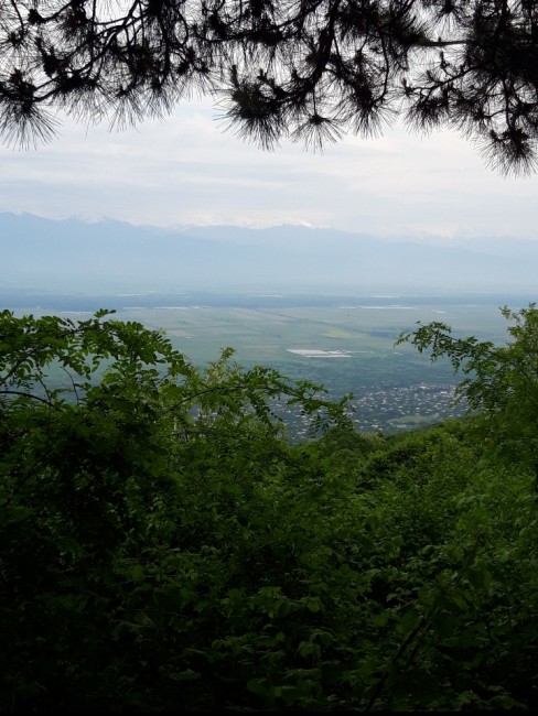 20191103_223951.jpg