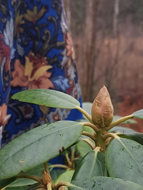 20191114_113332.jpg