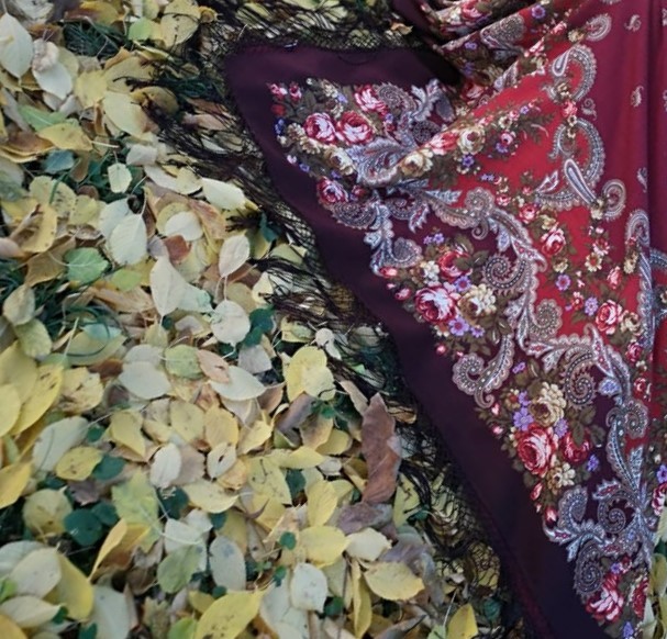 Крыло осени.jpeg