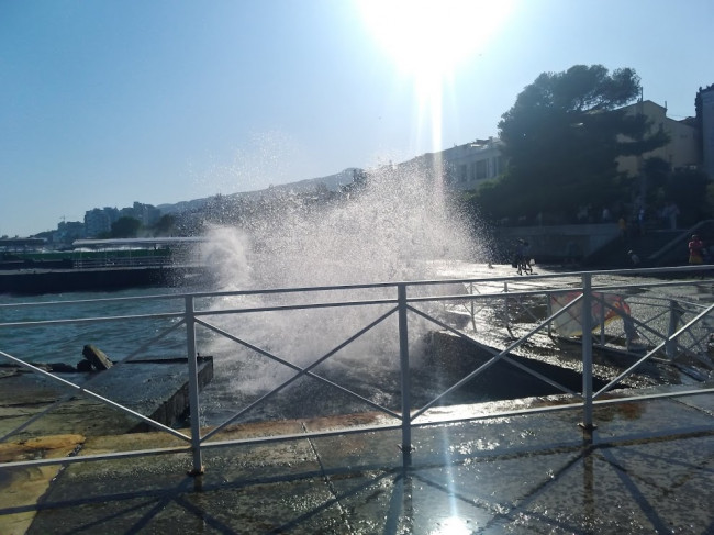 P_20190908_161125_vHDR_Auto.jpg