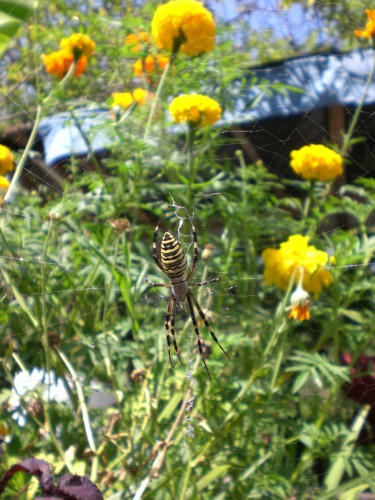 CIMG1075_1.JPG