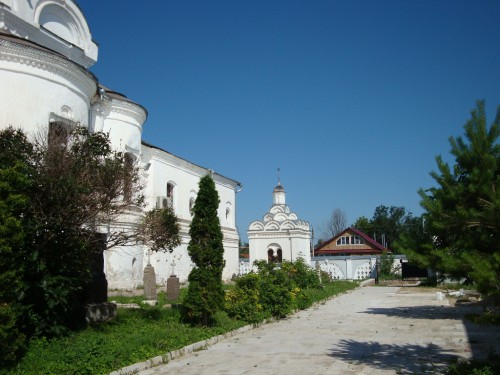 050.JPG