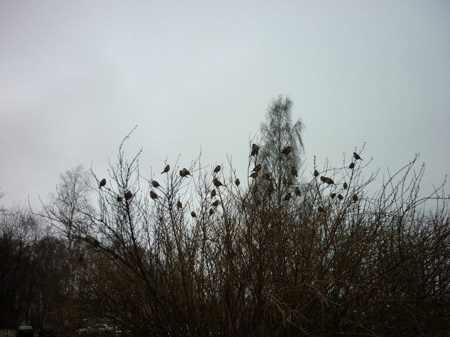P1310088+.jpg