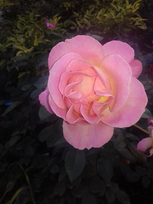 20191002_165633.jpg