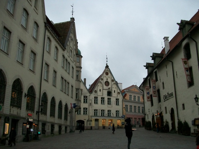101_9019.JPG