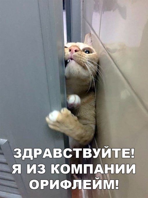 495AF29A-EA60-43E5-8F36-DC3F3C74CF8D.jpeg