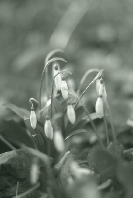 IMG_4610.JPG