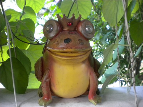 Фас