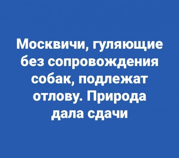 IMG-42e66976f06c46ae6efc87a344ea93b5-V.jpg