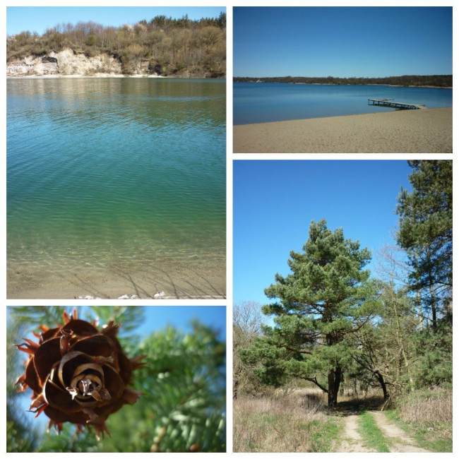 MyCollages (60).jpg