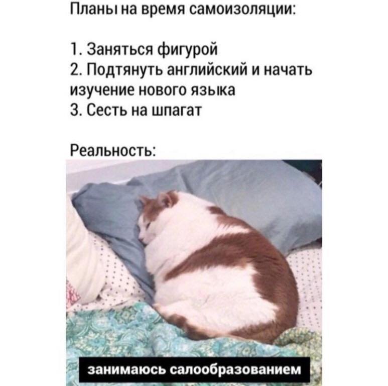 93407205_3279814162047339_1148731781189468160_n.jpg