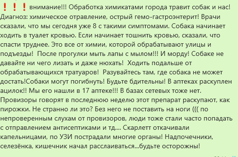 собаки.PNG