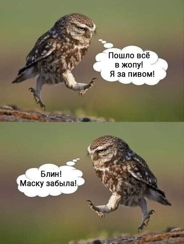 Giu5xp9Kg48.jpg