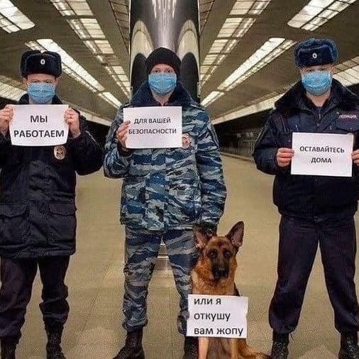 пес.jpg