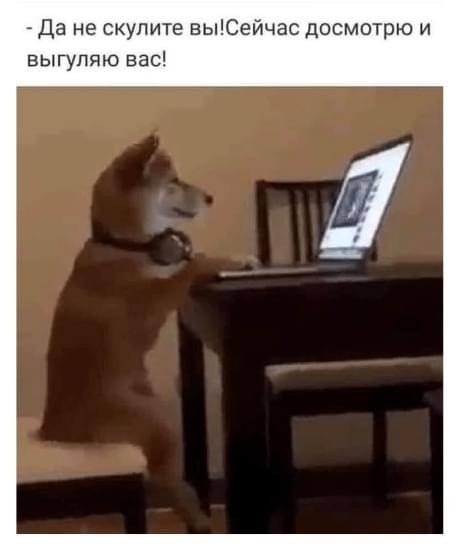 94259779_3194343930617210_4276037605600002048_n.jpg