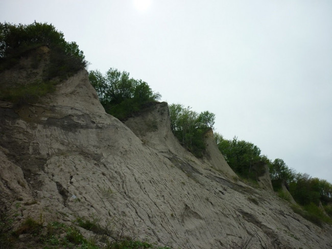 P1320207+.jpg